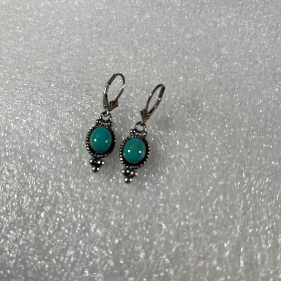Sterling Silver Oval Turquoise Timeless New Deadstock Earrings - Picture 3 of 15